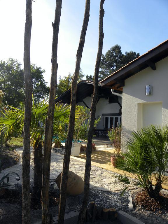 Villa Mogador Piscine Et Balneo Andernos-les-Bains Luaran gambar